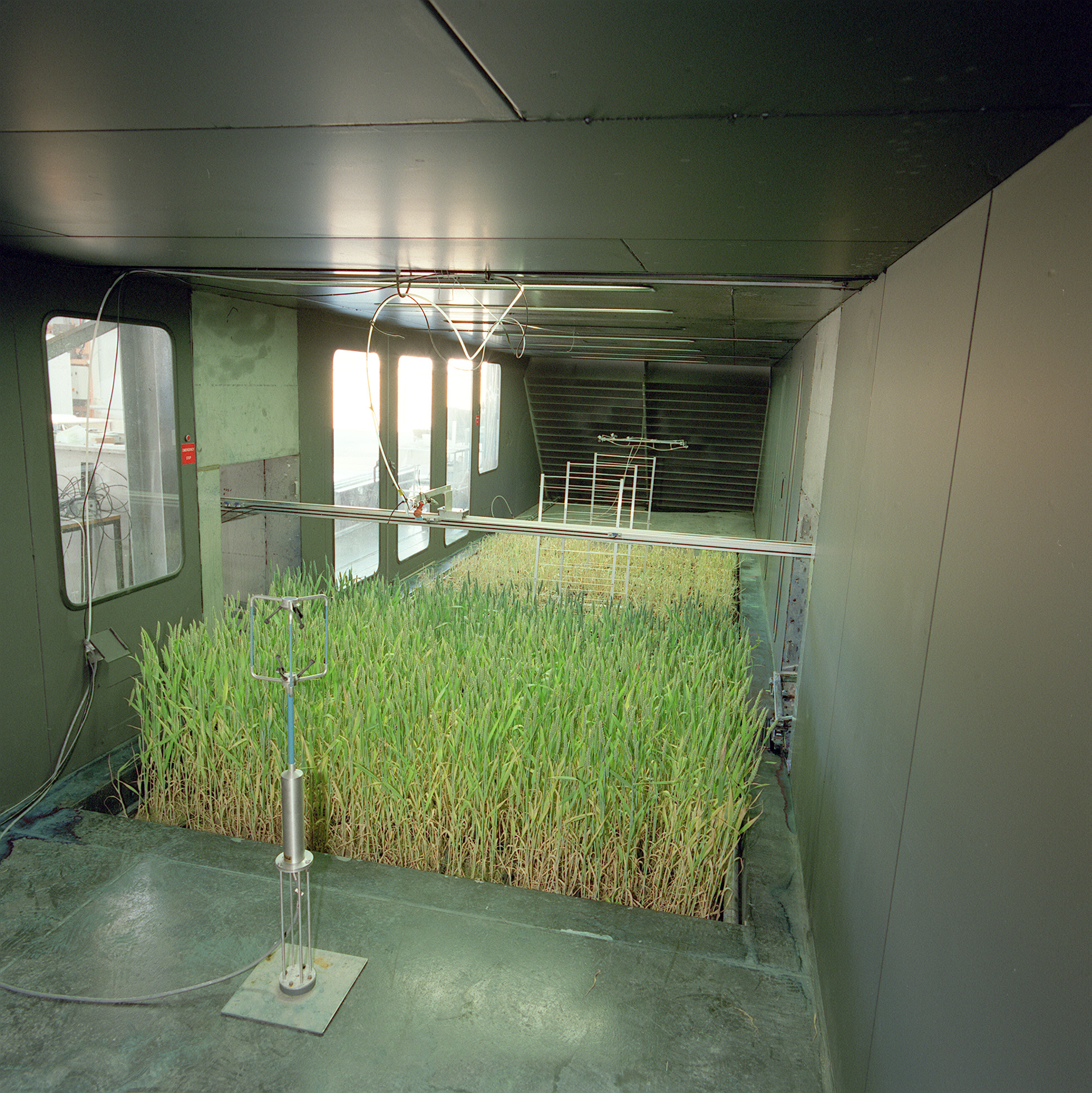 Inside wind tunnel