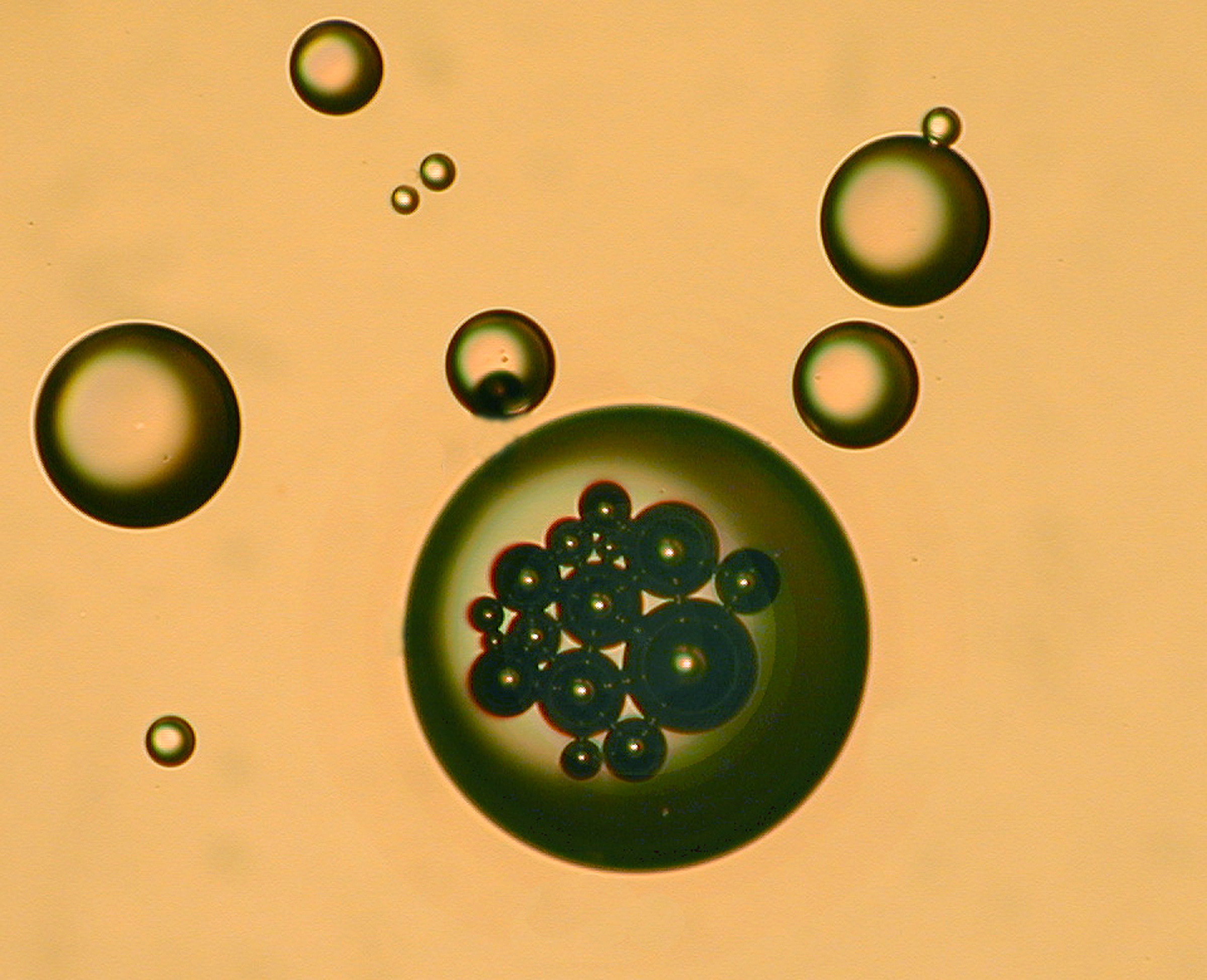 Droplets
