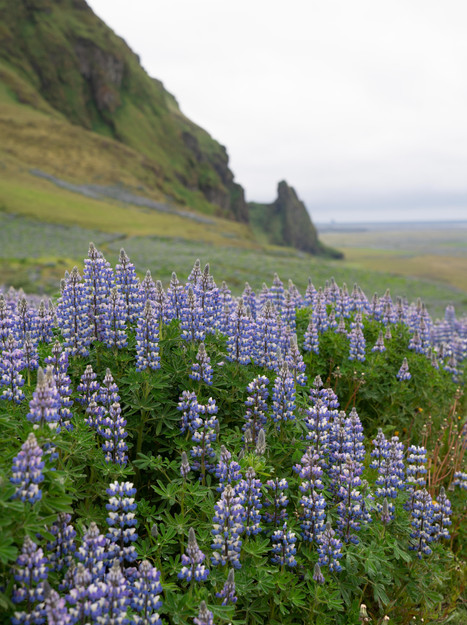 Next on the Itinerary: Iceland