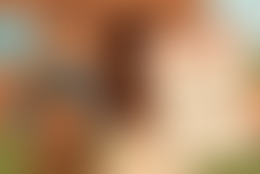 Apex Law is Alabama’s Eviction Law Firm