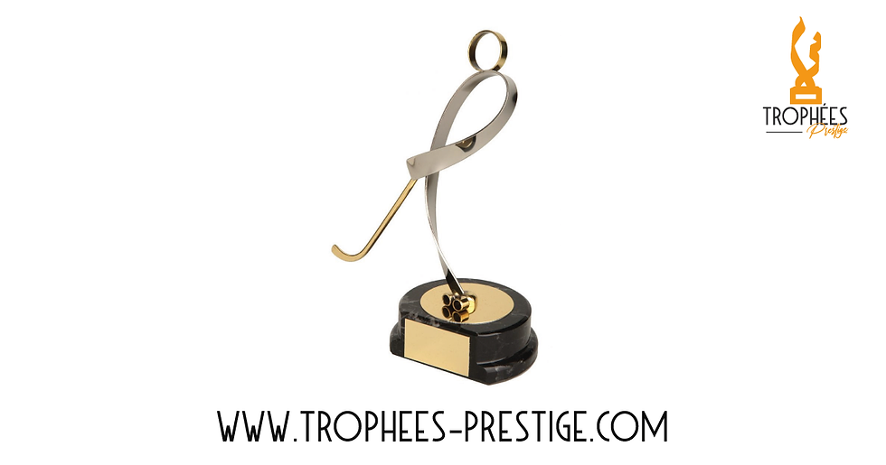 Trophée de hockey 2 - rink