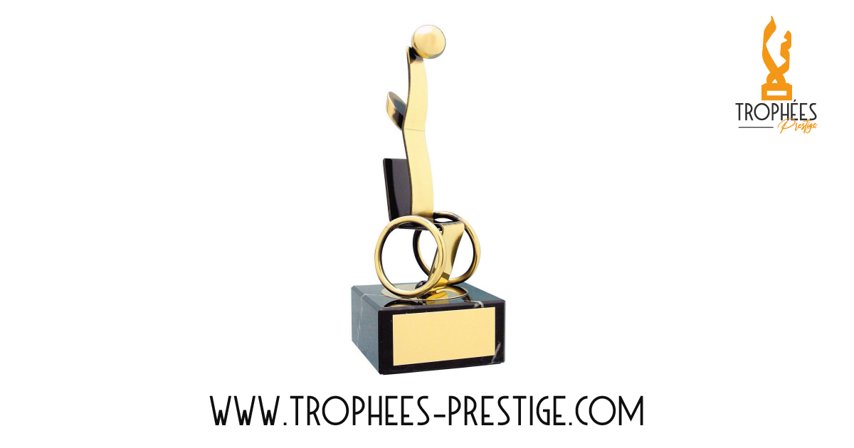Trophée basket-ball 8 - handisport