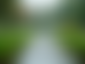 Effective Strategies for Managing Standing Water and Storm Runoff in Your Yard