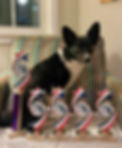 470050618_1292232492013660_4148548499523487331_n.jpg