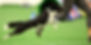 9r522111313_0518_edited.jpg