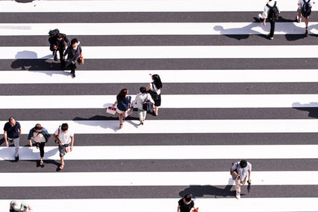 Pedestrians cross a wide zebra crossing in an urban setting, casting long shadows in the bright sunlight.