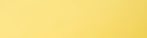 Yellowbg.jpg