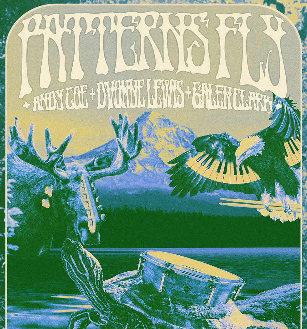 Patterns Fly @ Whirled Pies