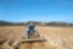Tractor Agrofeltes