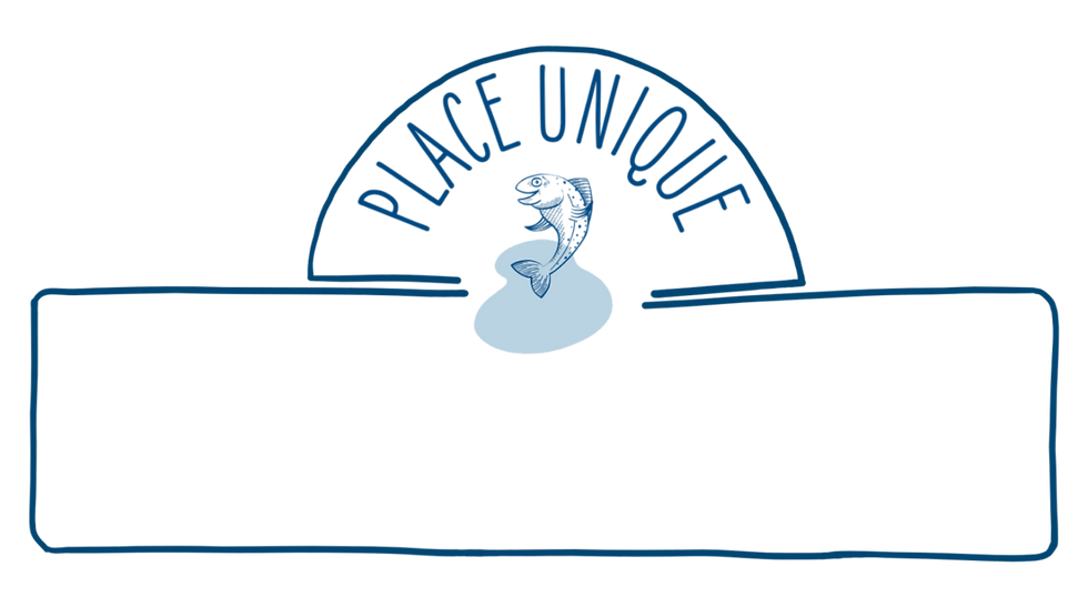 Bij Place Unique gaan we resoluut voor duurzame en inclusieve tewerkstelling. Ons team bes