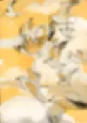 prent9.webp