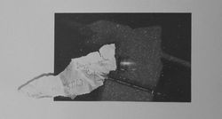 'Hope you have a happy life'