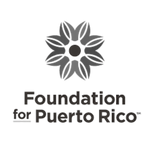 Foundation Logo BDSPR.png