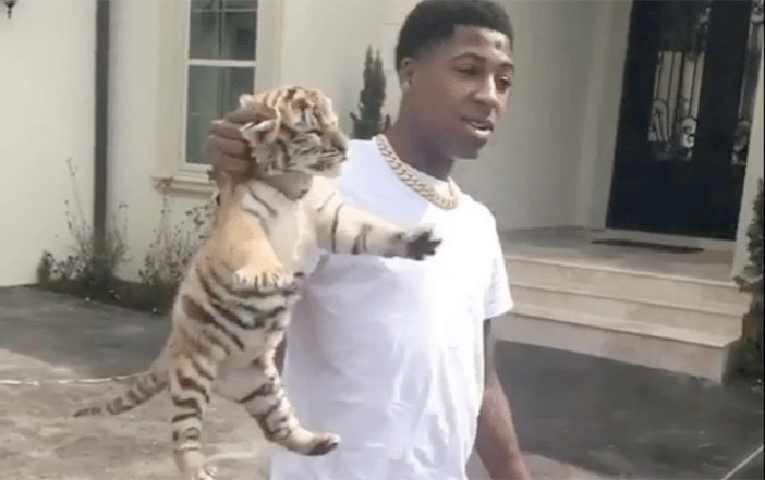 nba youngboy air forces - monitoring.solarquest.in