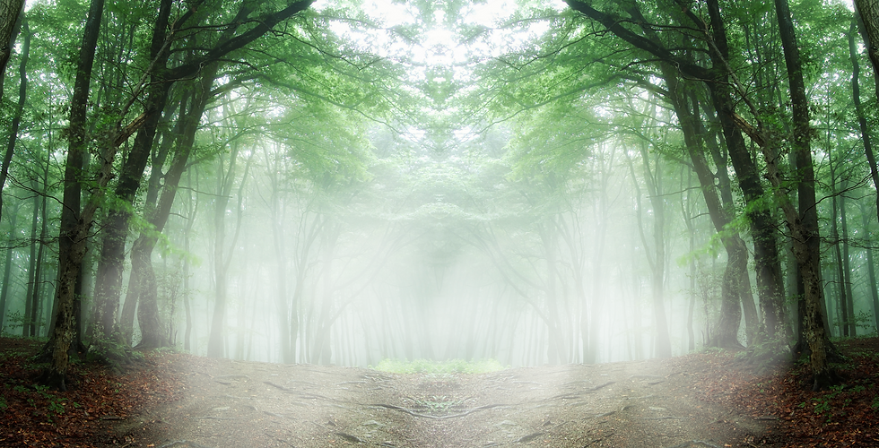 Header Banner for Blog (2).png