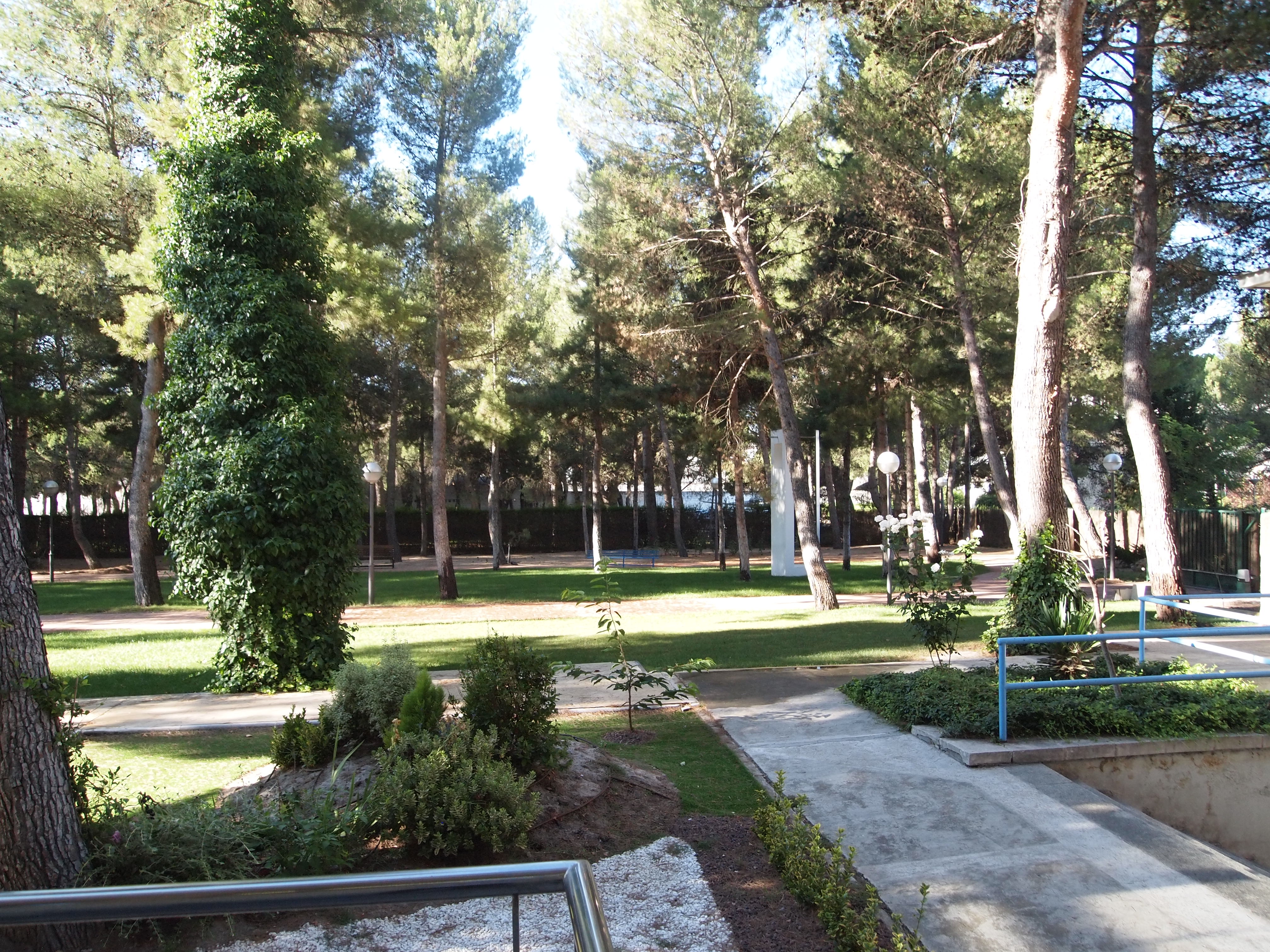P1011561