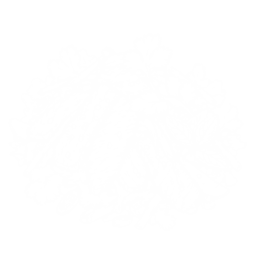 Salad 4