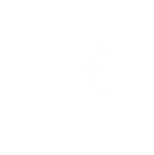 Arrow-05.png