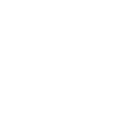 Social Media - Icon -07.png