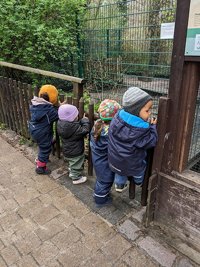 kids looking over a fence
