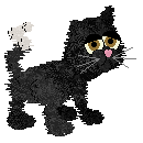 Fuzzball - Persian - M.gif