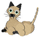 Alley - Siamese - F.gif