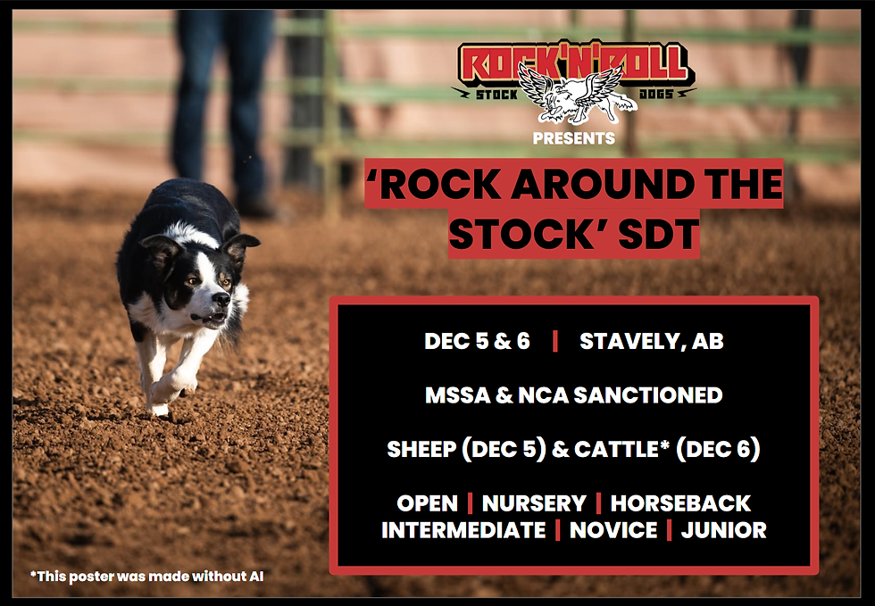 'Rock Around the Stock' SDT