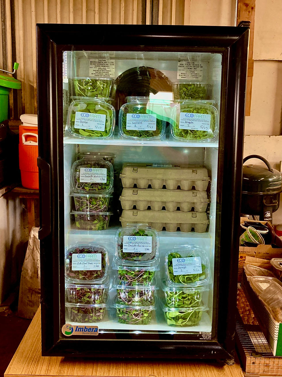 Our interns made a beautiful display for our farm sale!
