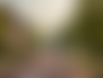 Snelle doorfietsroute door onze wijk