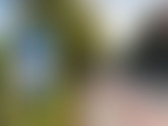 Vraagtekens bij de 'verbeteringen' aan de Groothertoginnelaan