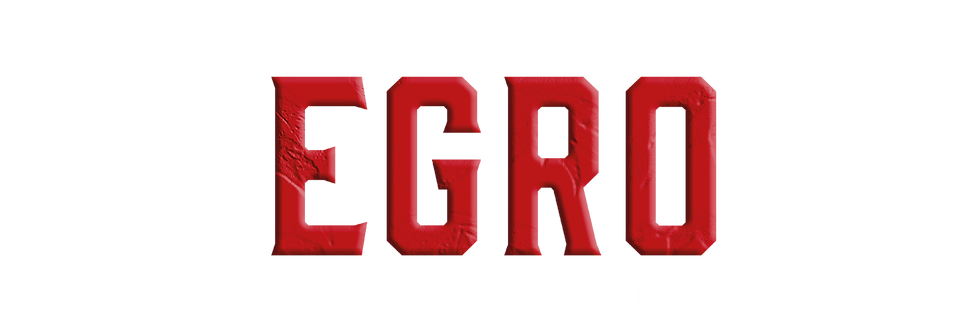 Egro vloeren en traprenovatie