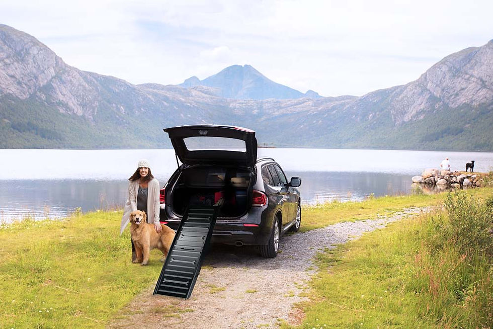 Thumbnail: All For Paws 4 Fold Car Ramp