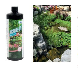 Microbe Lift Bloom & Grow 1 Liter