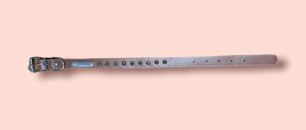 Miniatura: DTX studs Collars     55cm