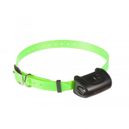 Num'axes Canicom 5 Extra Collar