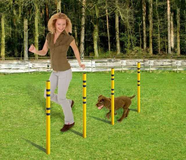 Thumbnail: Karlie Fun Agility Starter Set