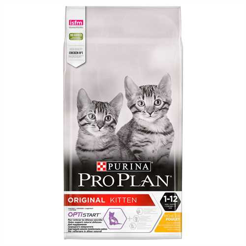 kitten purina