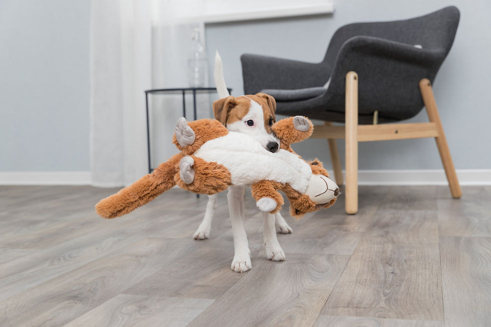 Thumbnail: Trixie Meerkat Large 40cm Soft Toy #35672