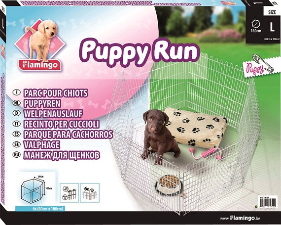 Thumbnail: Flamingo Puppy Run