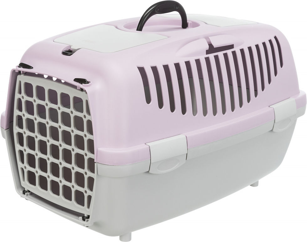 Thumbnail: Transport Box Large  Carrying weight size cm 60 x 40 x 38h.