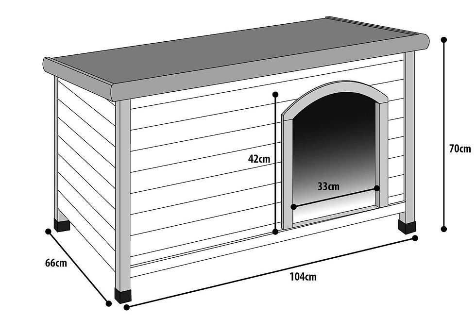 Thumbnail: Flamingo Plano Kennel
