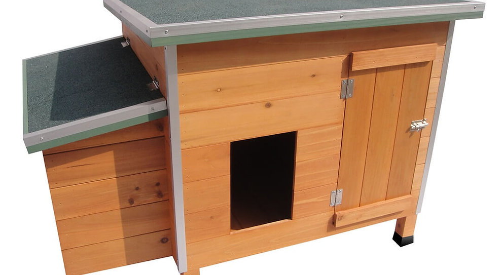 Flamingo Ginger Chicken Coop
