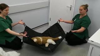 Smart Pet Porter with Cover Small 90x60cm