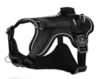 Thumbnail: Memopet H-Harness