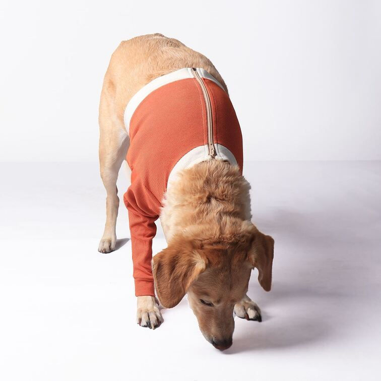 Thumbnail: Luna & Milo Copper Body Recovery Suit – Front Legs