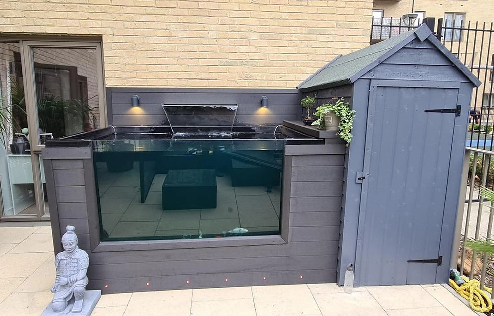 Thumbnail: EZ Pond Malta