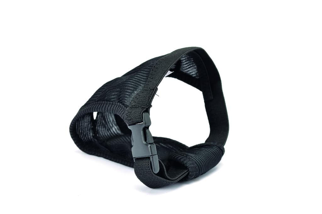 Perfect Fit Dog Hygiene Pants