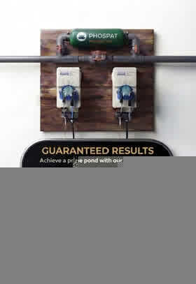 Thumbnail: Phospat Phosphate Control System Package