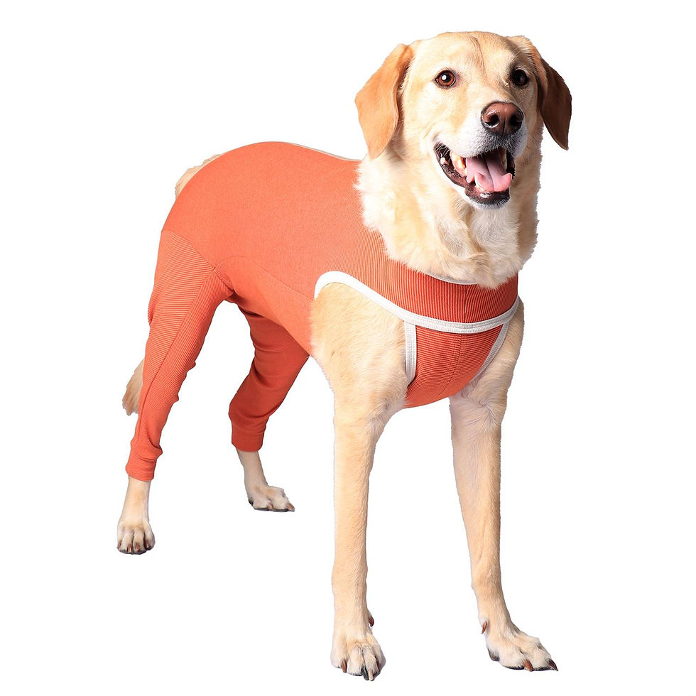 Thumbnail: Luna & Milo Copper Body Recovery Suit – Hind Legs