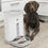 Miniatura: Smart automatic food dispenser, 4.3 l/24 x 38 x 19 cm, white   #24338